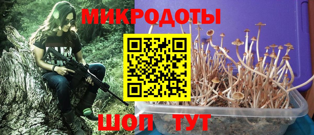 Алексеевка  Галлюциногенные грибы Psilocybe  Вход с VPN 